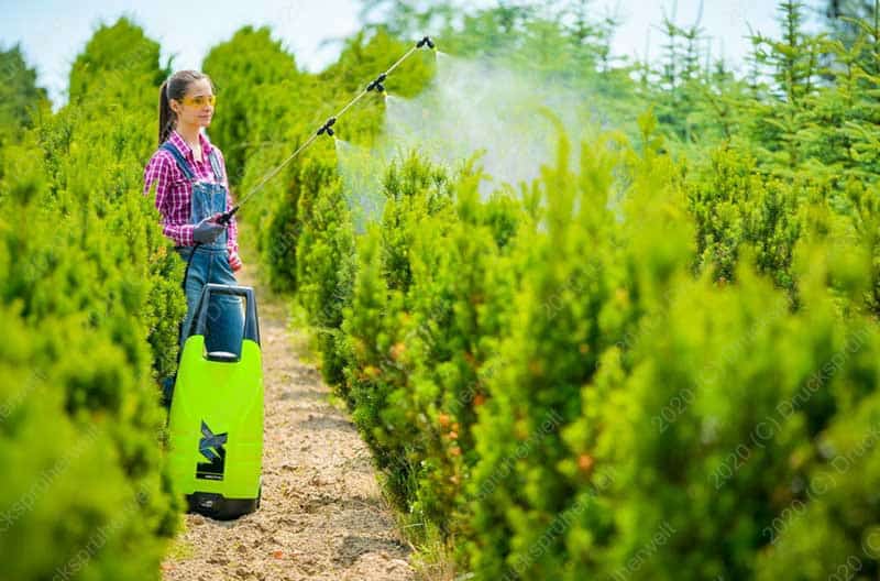 Vertiikaler 3 strahliger Sprüharm, perfekt bei Gewächsen