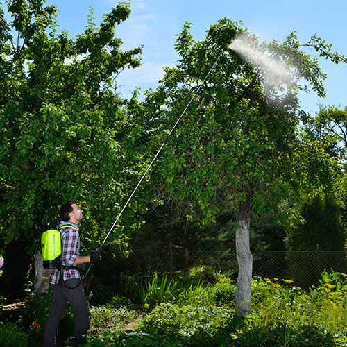 P16v Rückensprüher 16 Ltiter für Pflanzenschutz