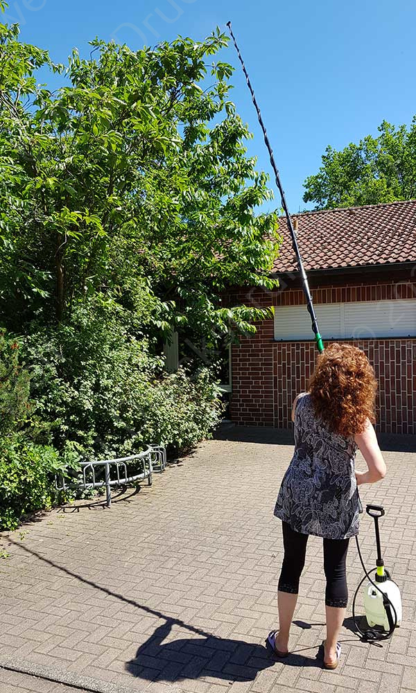 KWT500 Teleskoplanze beim Sprühen eines Baumes – hochwertige, ausziehbare Lanze mit bis zu 5 Metern Reichweite für präzises Arbeiten in großer Höhe