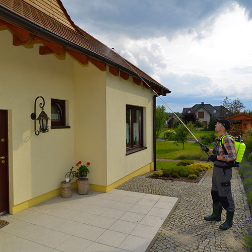 P16v Rückensprüher 16 Ltiter zur Dachreinigung