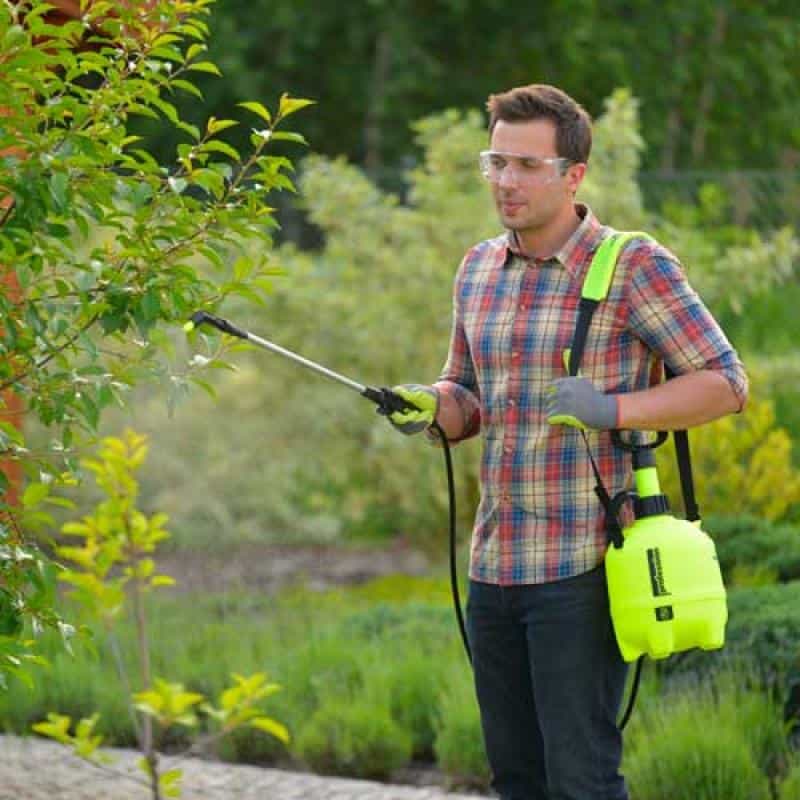Marolex Drucksprühers beim Besprühen eines Baumes im Garten – ideal für Pflanzenschutz, Bewässerung oder Düngung, mit ergonomischem Tragegurt und verstellbarer Sprühlanze